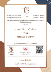 Earth Tone MAR22016